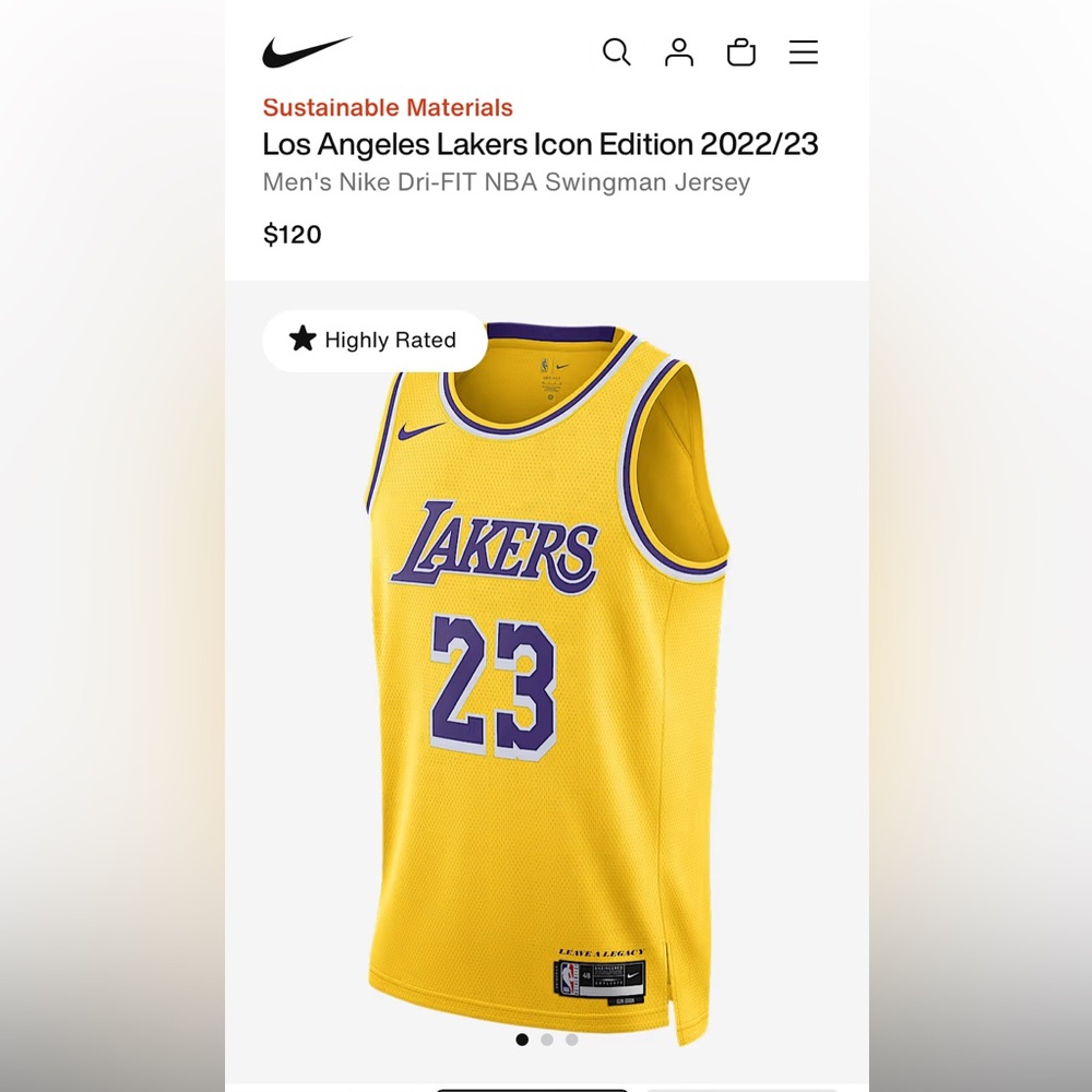 Nike Mens Los Angeles Lakers LeBron James #23 Icon Jersey